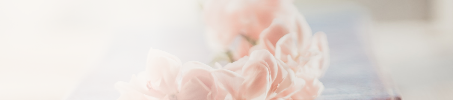 Närbild av rosa blommor med mjuk fokus och ljus bakgrund.